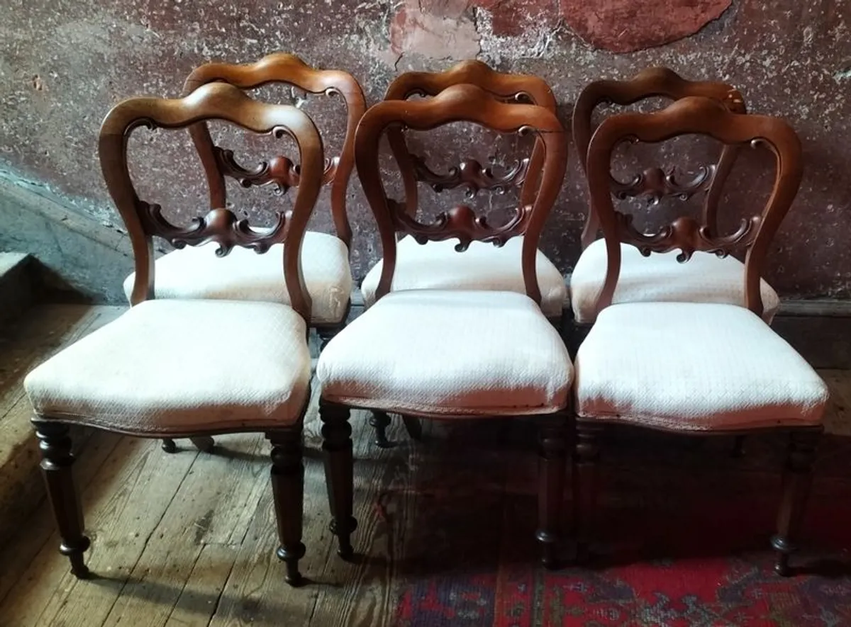 Set of 6 Victorian mahogany Dining Chairs - Image 1