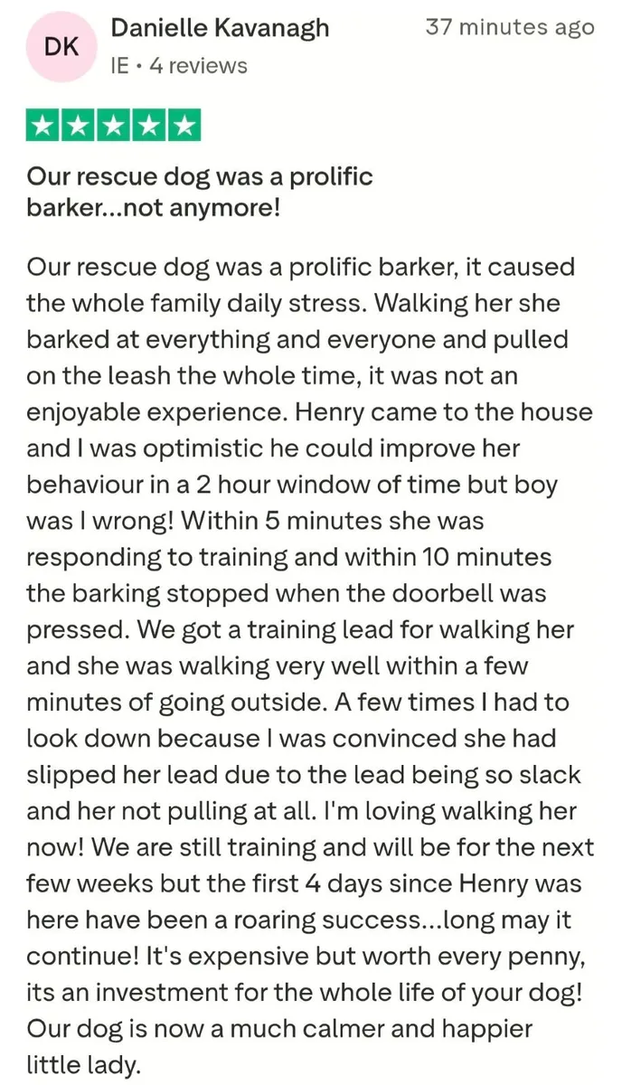 Open Your Own Dog Training Business - Image 4