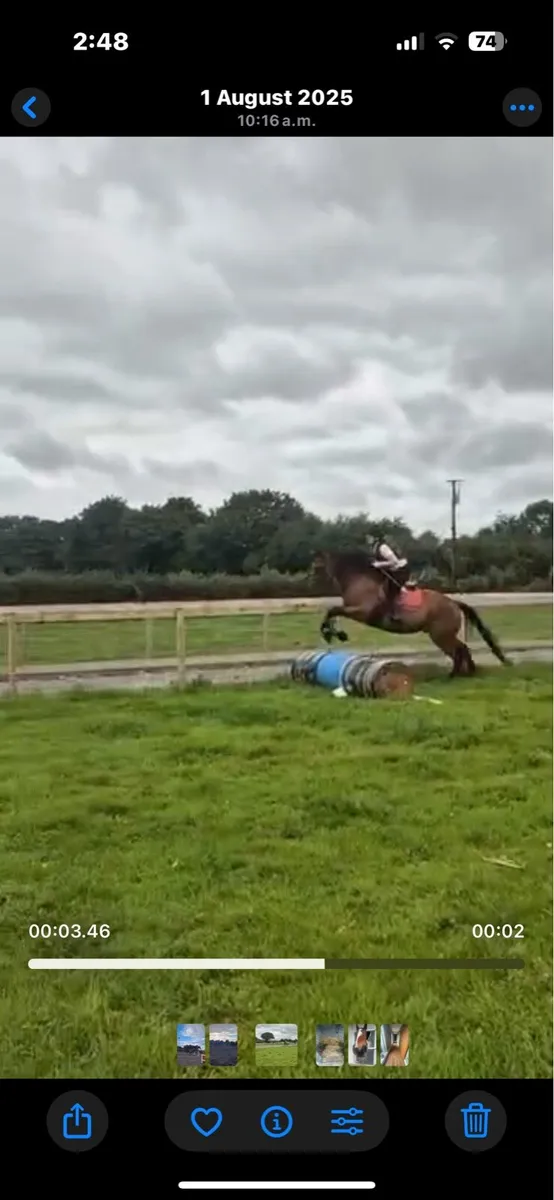 ⭐️Sal⭐️ - Image 3