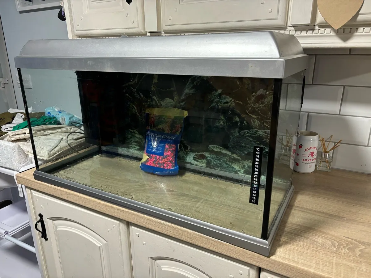 Fish tank for sale - Image 2