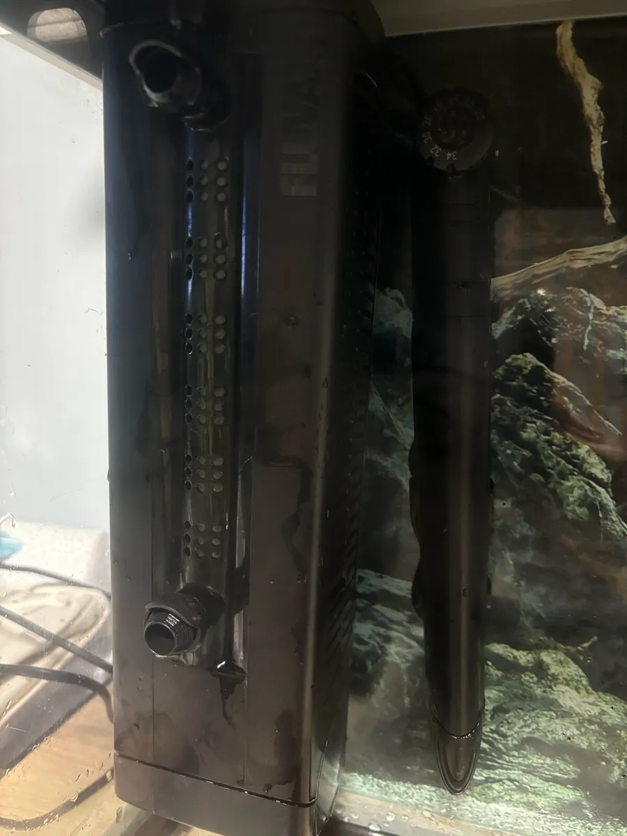 Fish tank for sale - Image 3