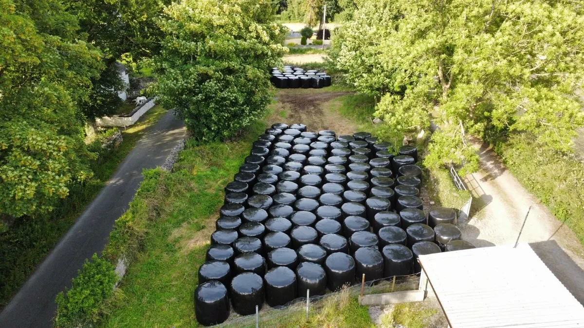 Silage Bales - Image 3