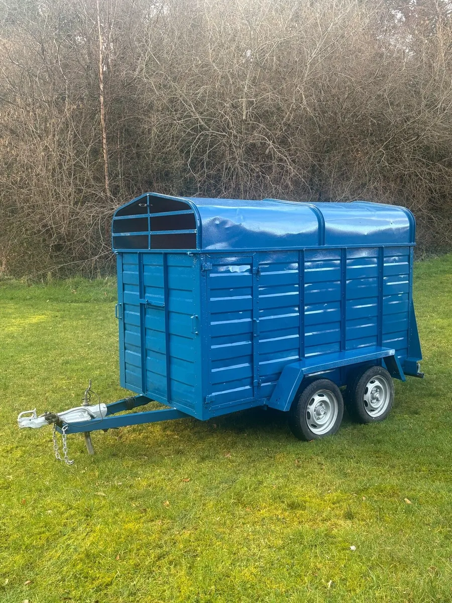 cattle trailer - Image 1