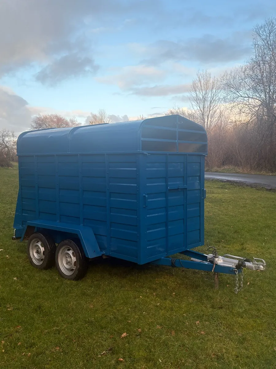 cattle trailer - Image 2