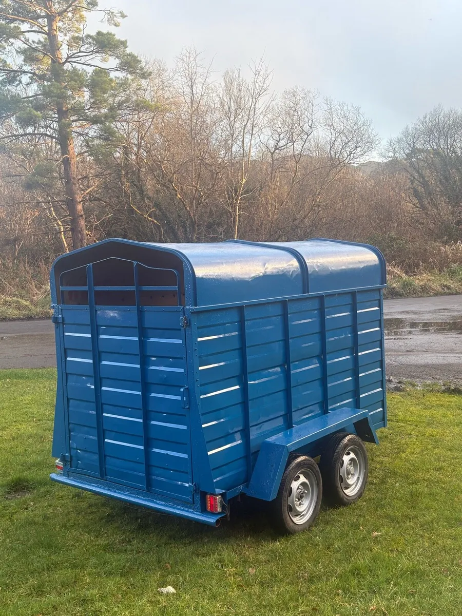 cattle trailer - Image 3