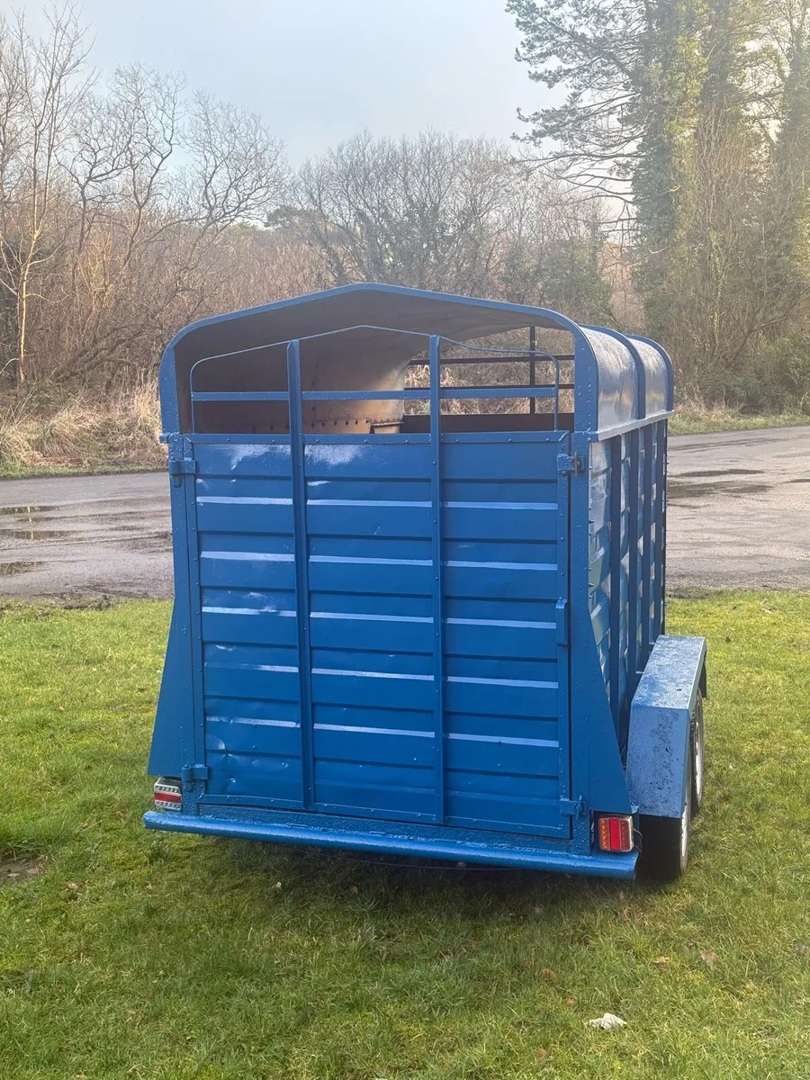 cattle trailer - Image 4