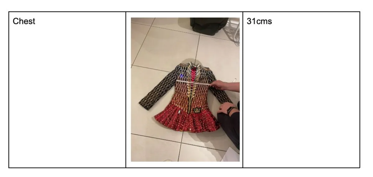 Irish Dancing Constume - Image 3