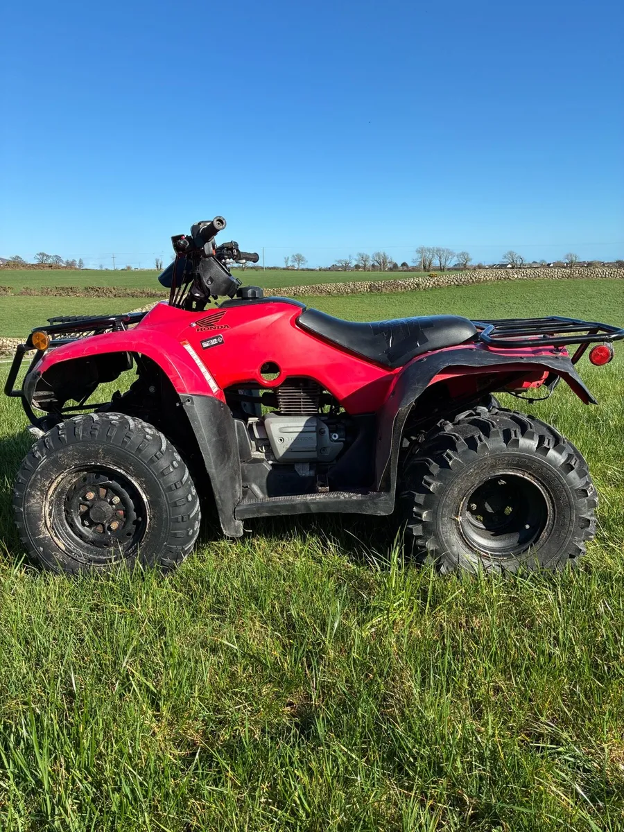 Honda TRX250 - Image 4