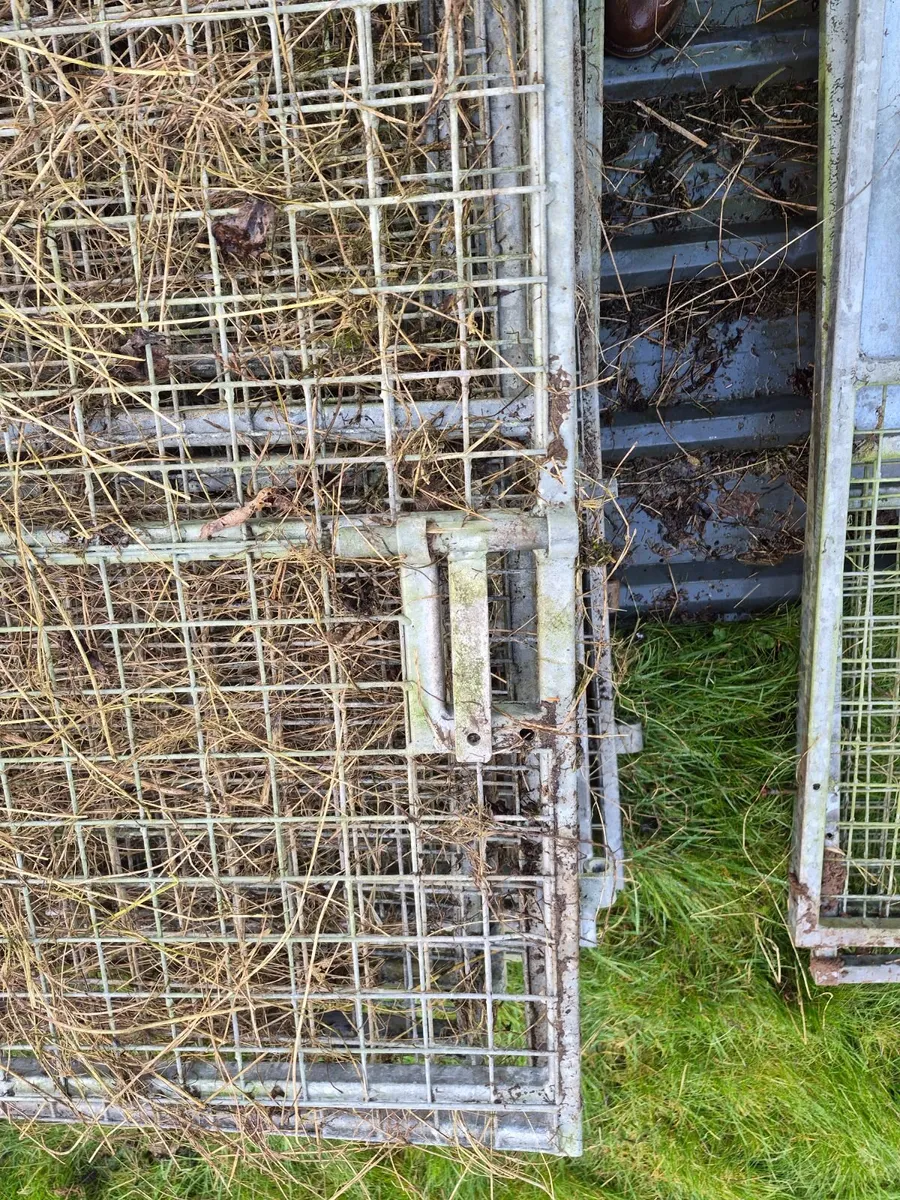 Galvanized sheeting/fencing - Image 2