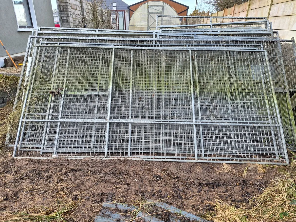 Galvanized sheeting/fencing - Image 3