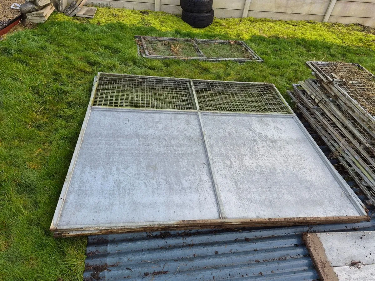 Galvanized sheeting/fencing - Image 4