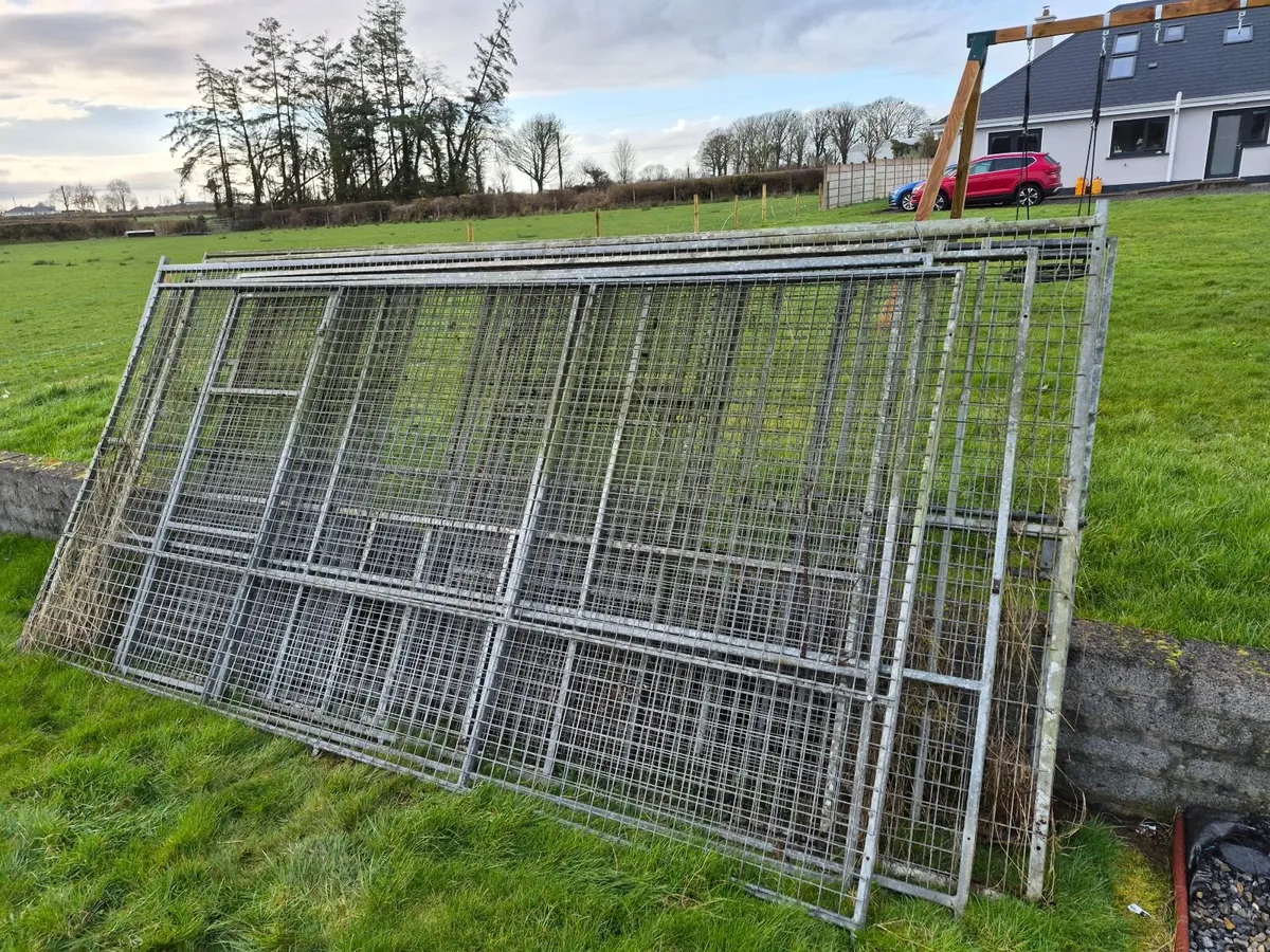 Galvanized sheeting/fencing - Image 1