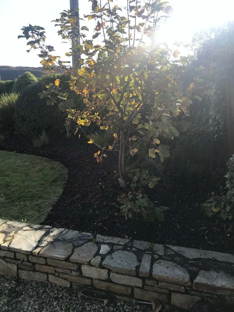 Garden mulch - Image 1