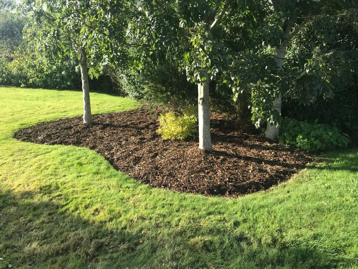 Garden mulch - Image 2