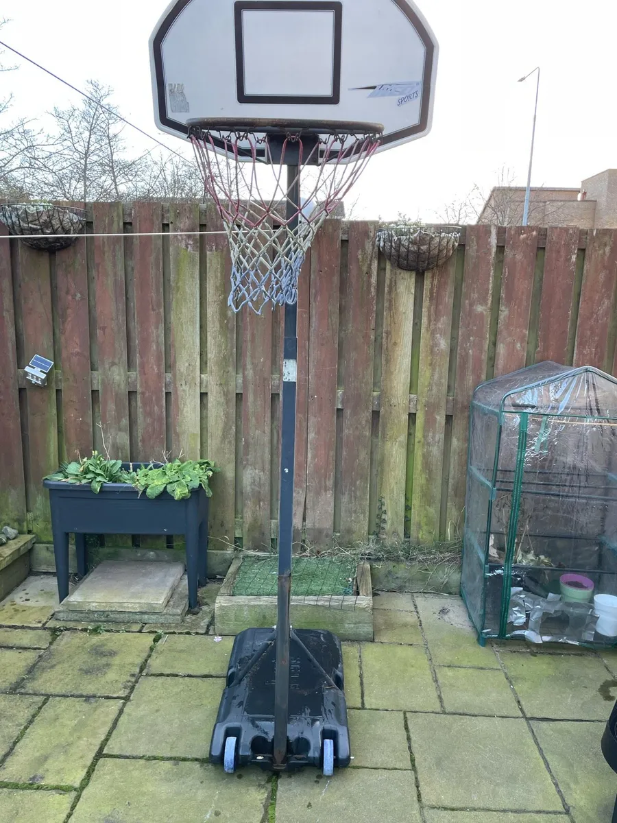 Basketball hoop and stand - Image 1