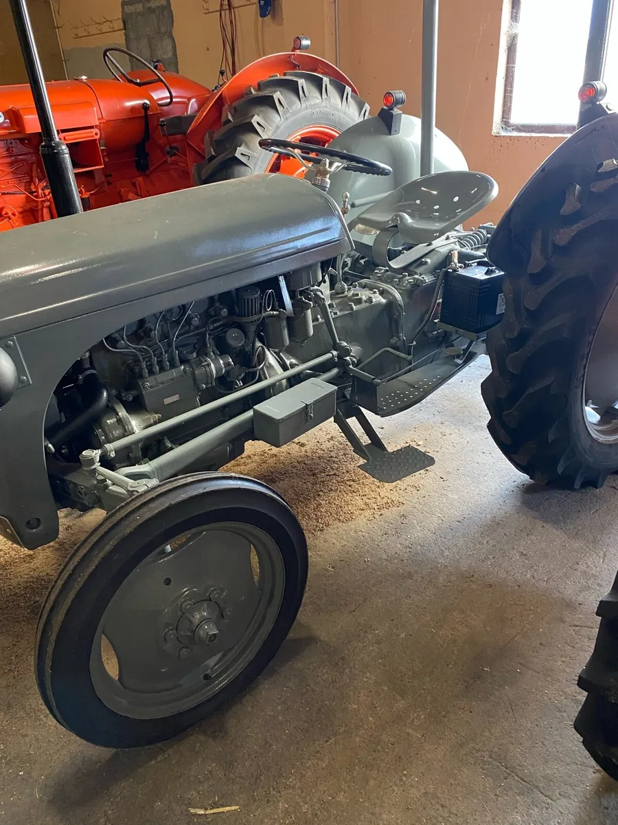 Grey Ferguson - Image 1