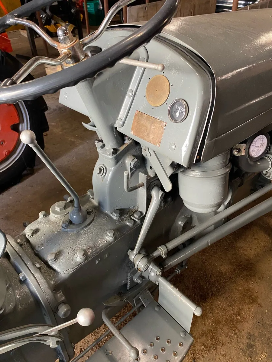 Grey Ferguson - Image 4