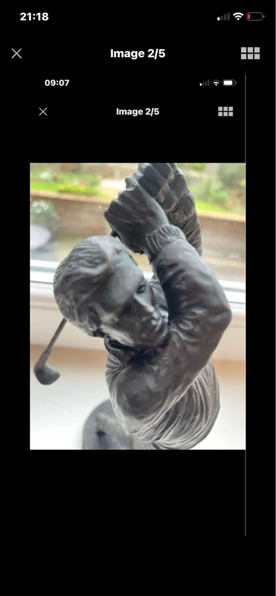 Genesis Bronze -Golfer Swing - Image 2