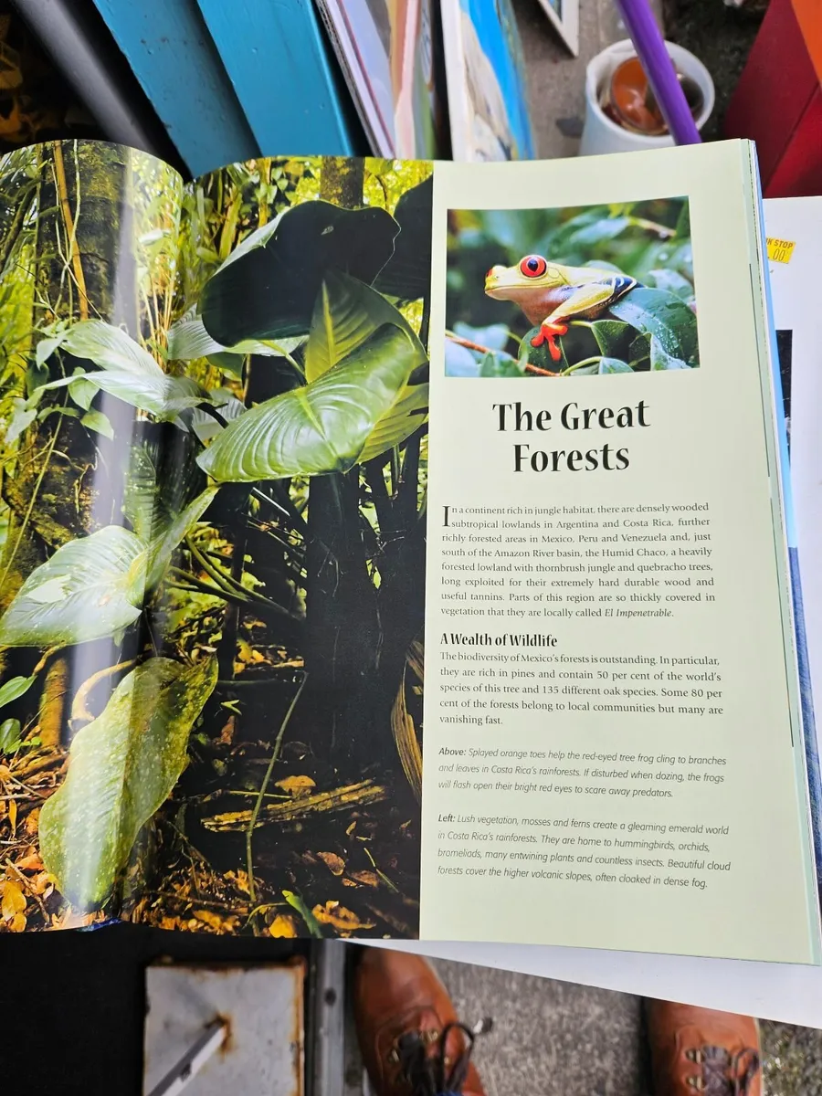 Book Latin America - Image 2