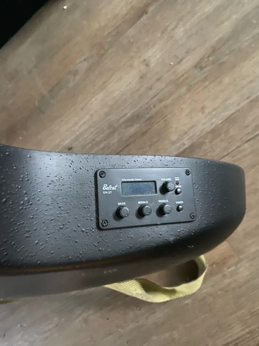 Acoustic Bass Guitar - Image 2