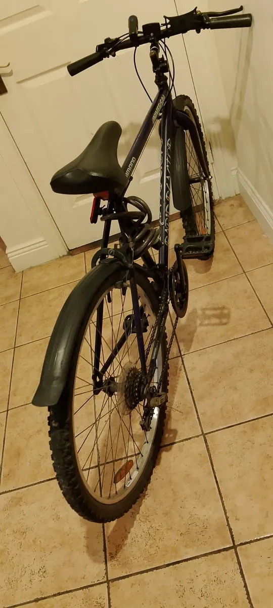 ADULT BIKE FOR SALE - Image 4