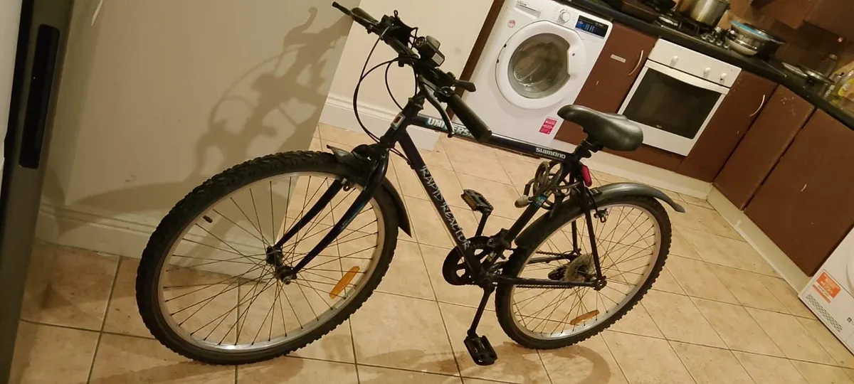 ADULT BIKE FOR SALE - Image 1