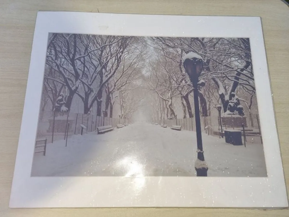 Large art photo - The Mall, Central Park, - Image 3