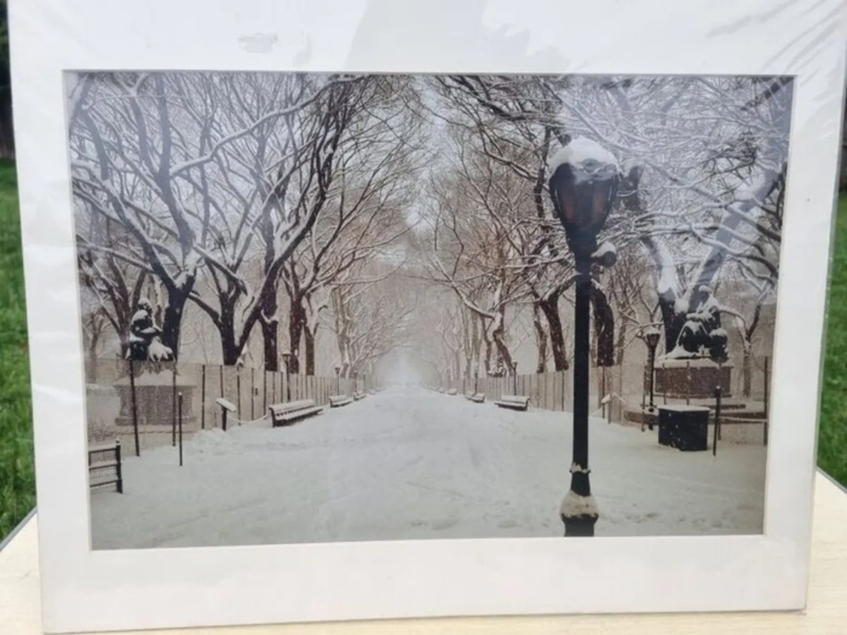 Large art photo - The Mall, Central Park, - Image 1