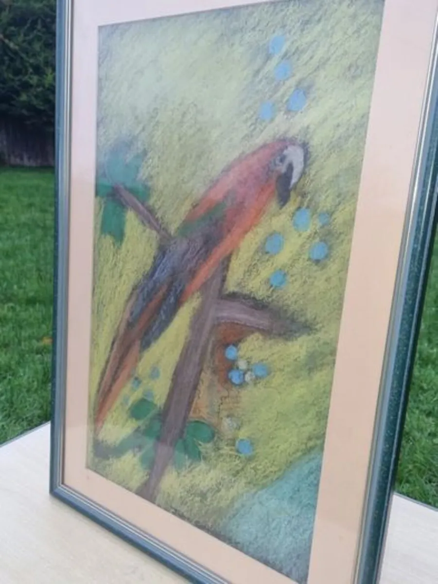 John Gallagher parrot pastel - Image 2