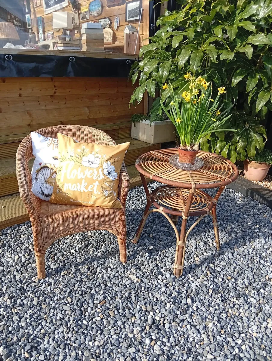Wicker Table and Chair set - Image 1