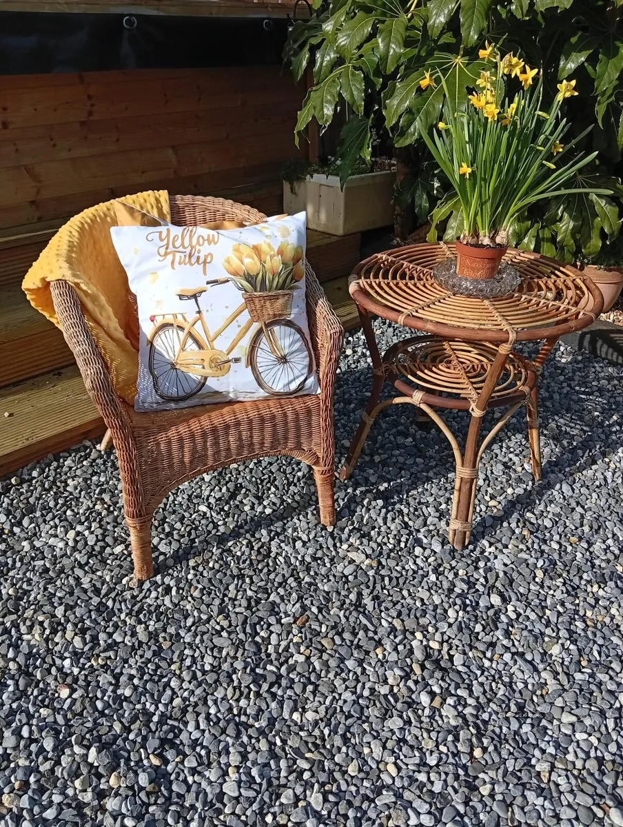 Wicker Table and Chair set - Image 2
