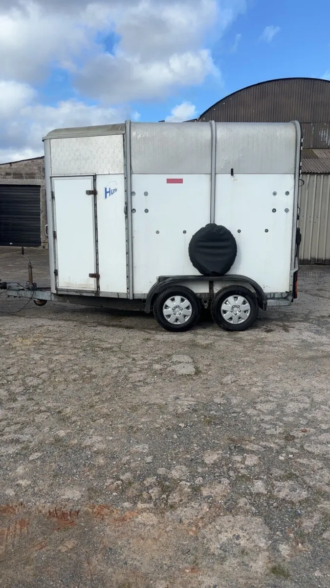 Ifor williams 505 horsebox - Image 2