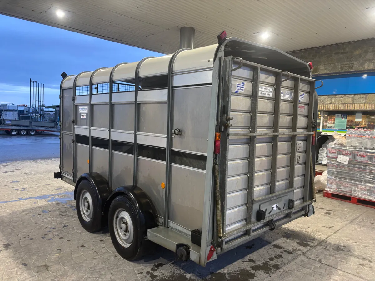 ifor williams ta510 12ft - Image 2