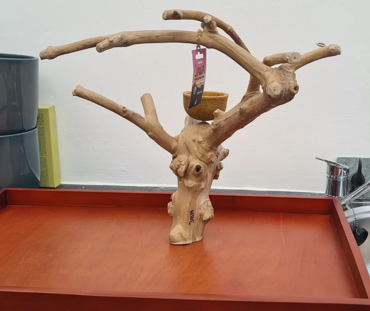 Mini Tabletop Java Tree - Image 1