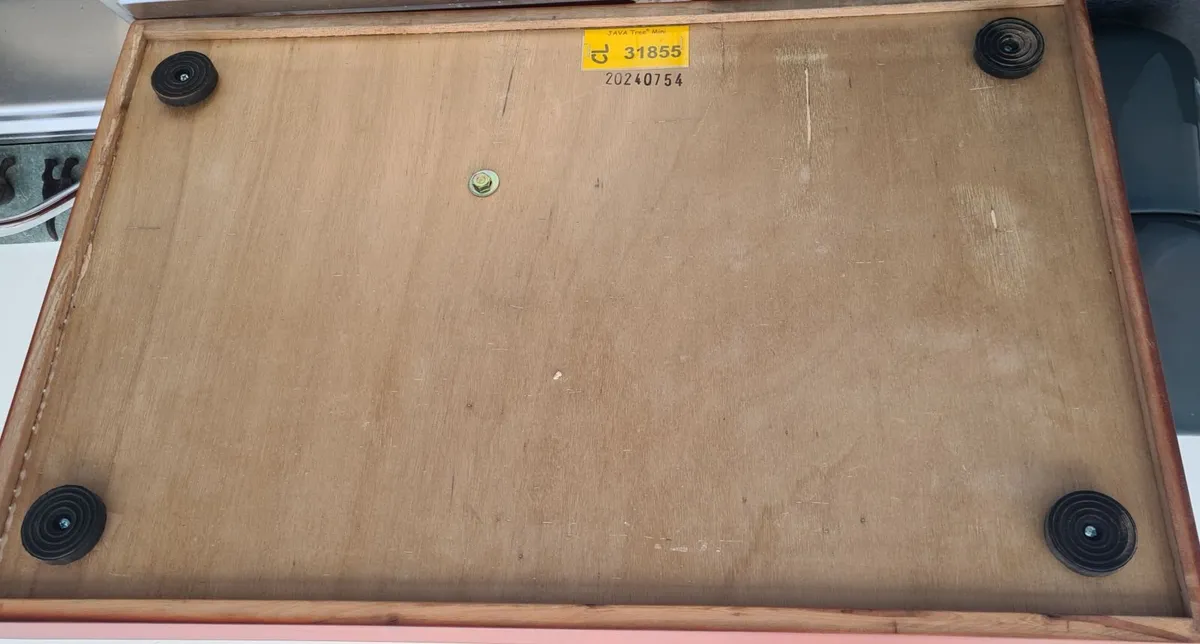 Mini Tabletop Java Tree - Image 3