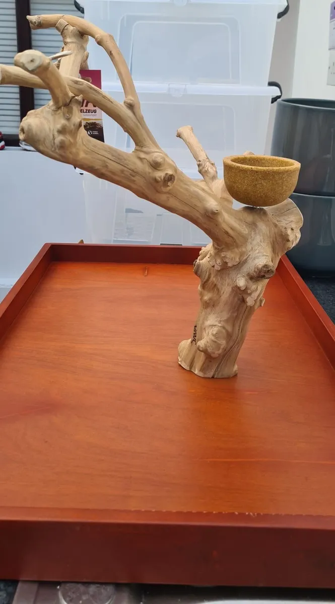 Mini Tabletop Java Tree - Image 2