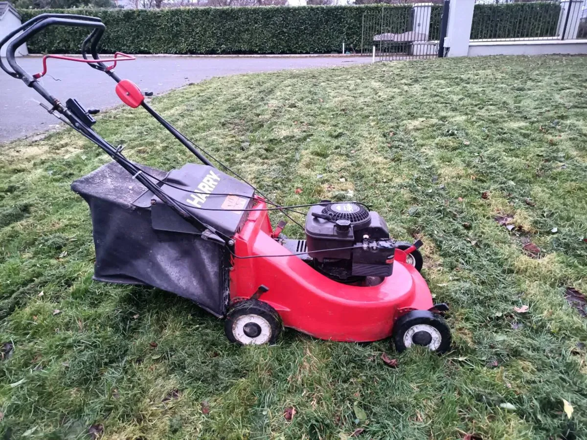Lawnmower - Image 2