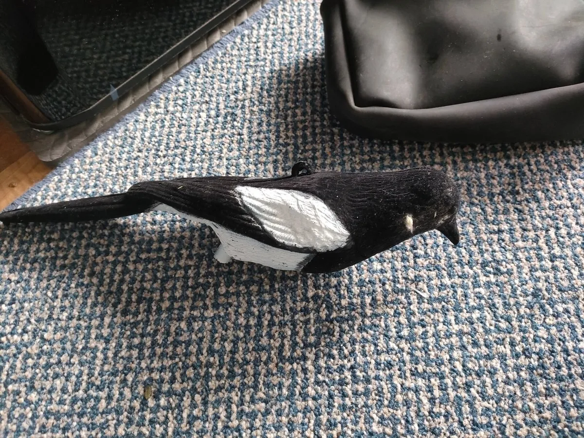 Shooting accessories - Image 3