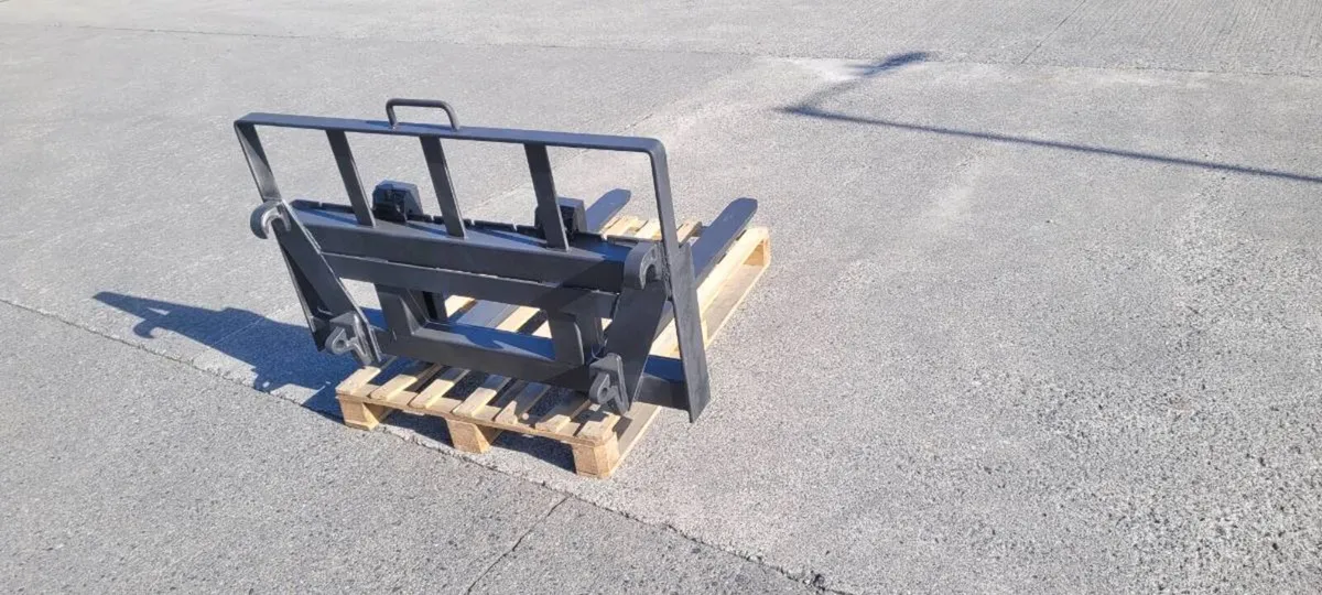 Pallet forks - Image 1