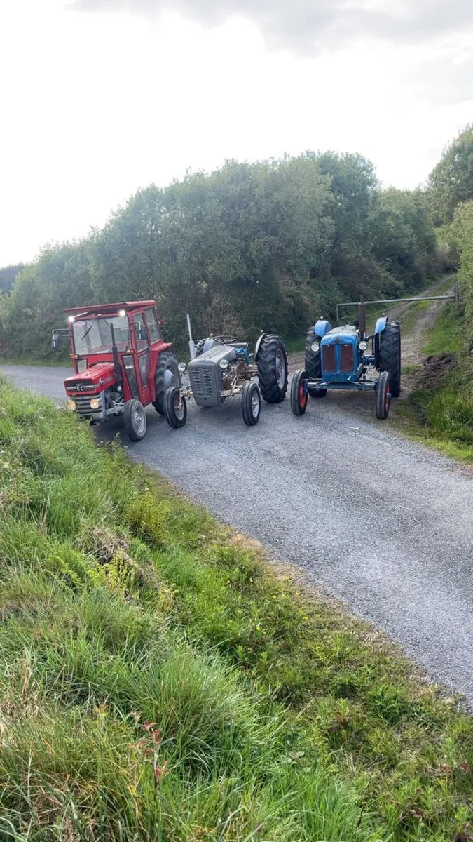 Fordson major - Image 3