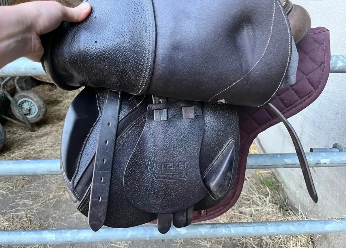 Whitaker Rio Saddle - Image 2