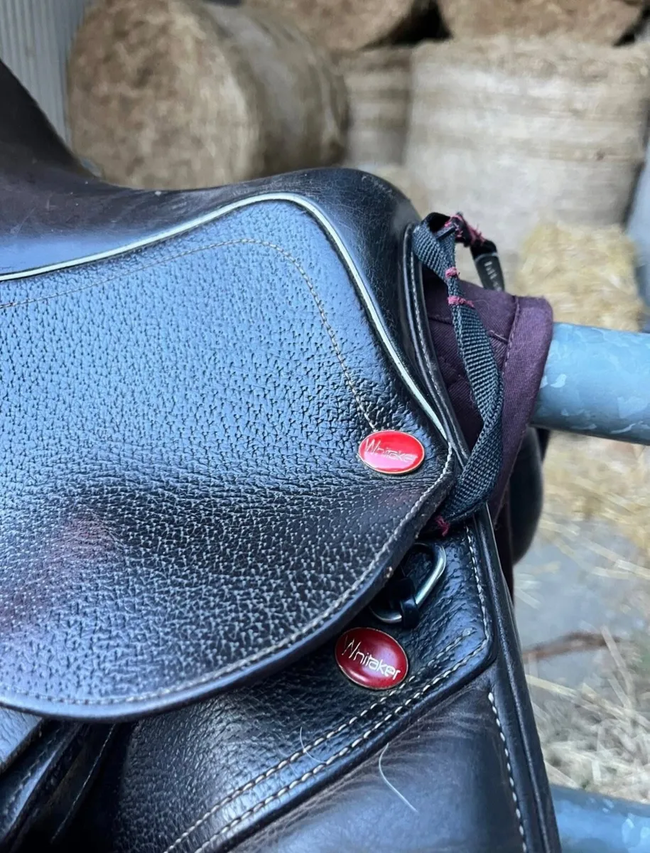 Whitaker Rio Saddle - Image 4