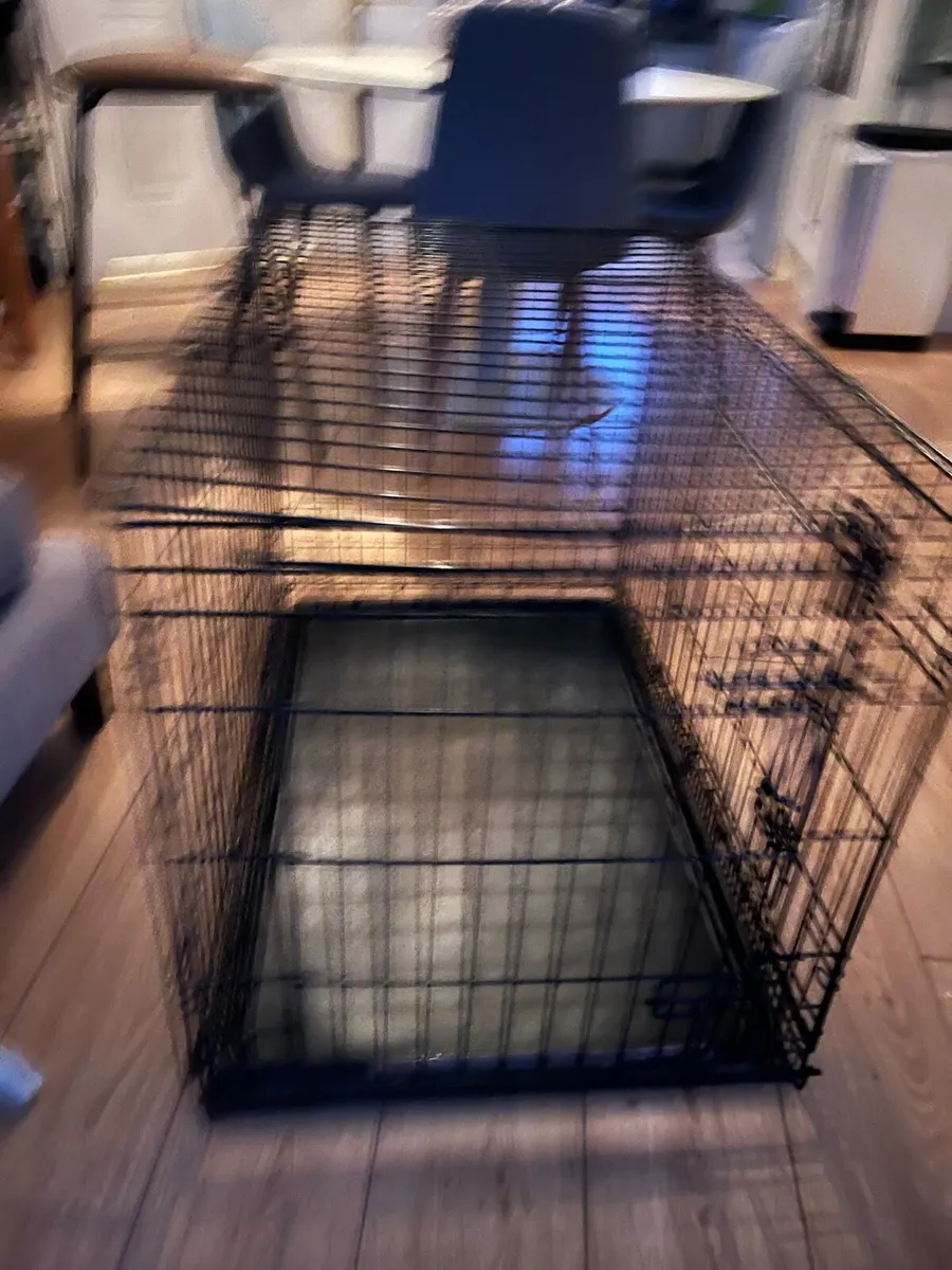 Dog Crate