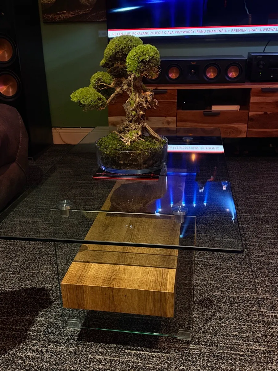 Coffe table - Image 1