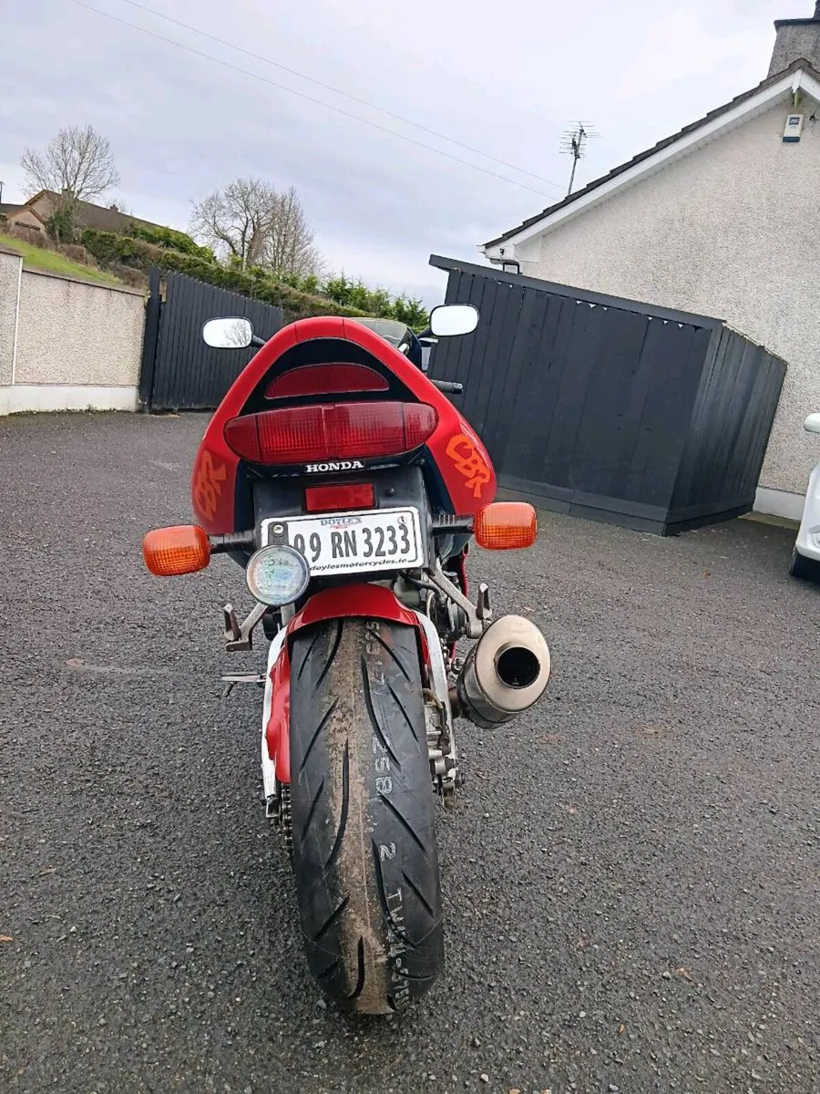 Mint fireblade - Image 4