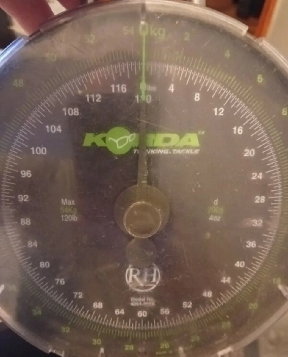 Reuben Heaton Korda 120lb Scales - Image 2