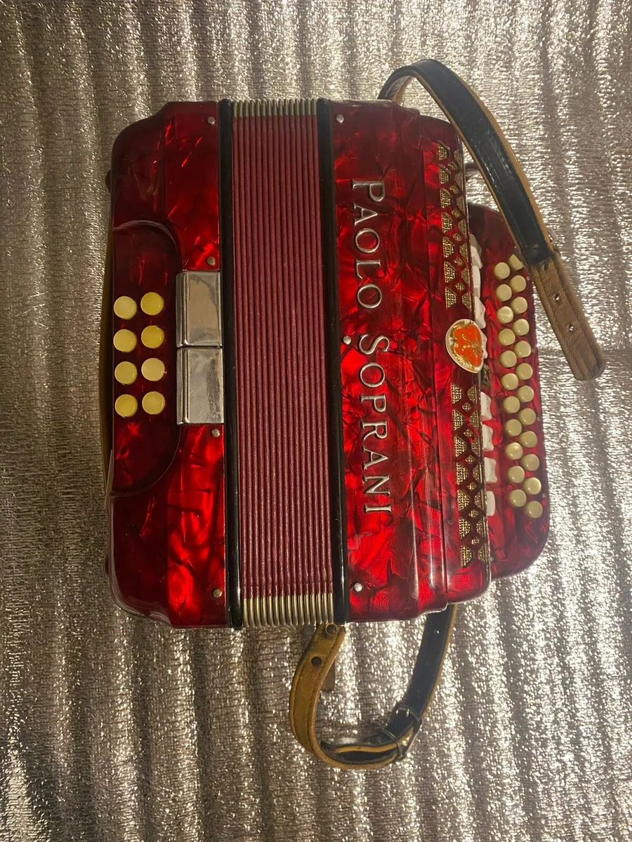 Accordions - Image 4