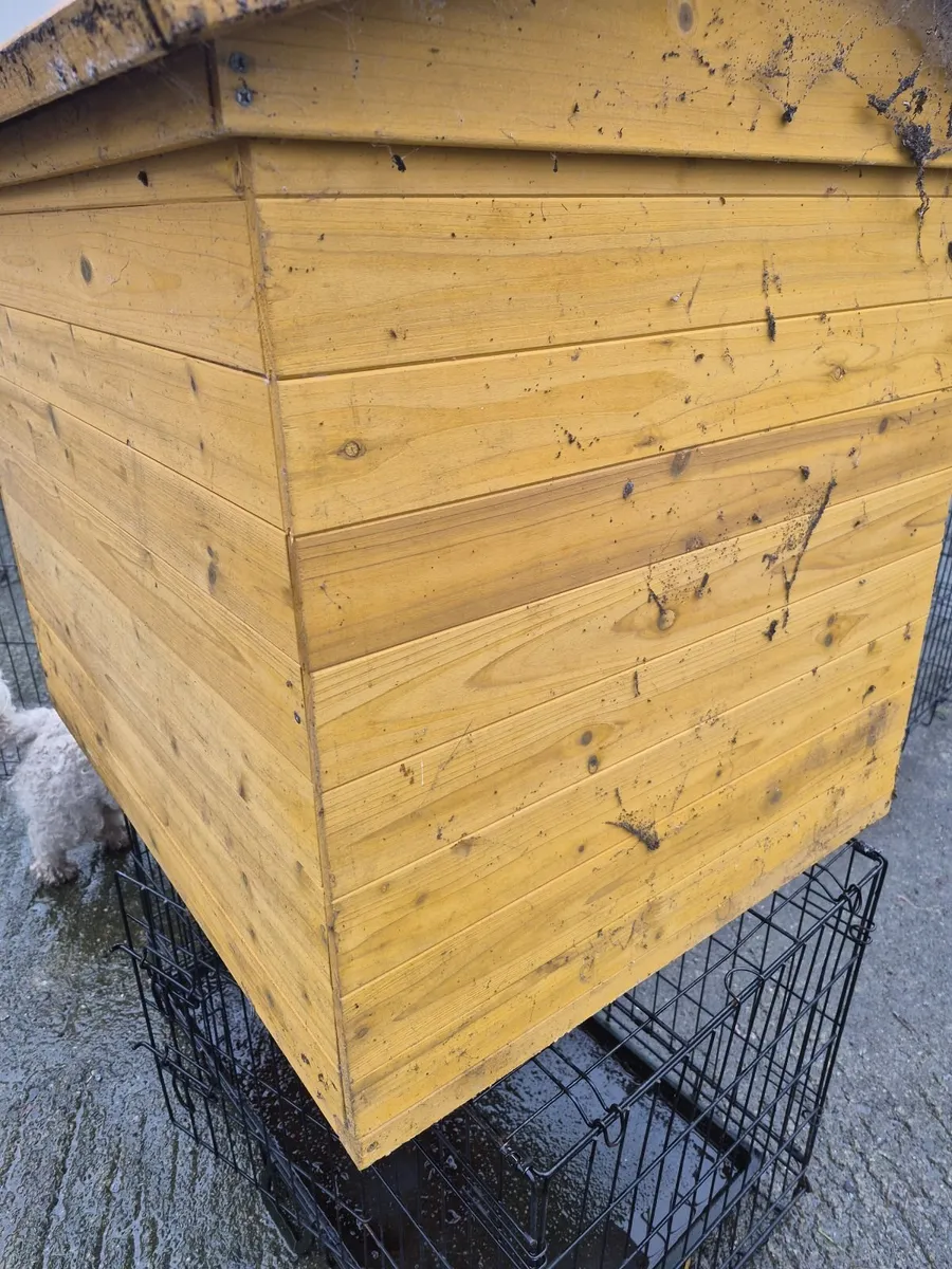 Dog house - Image 2