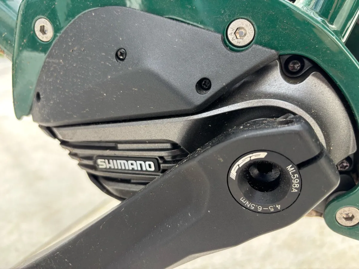 Cargo Bike: Bicicapace Just Long E Bike - Image 3