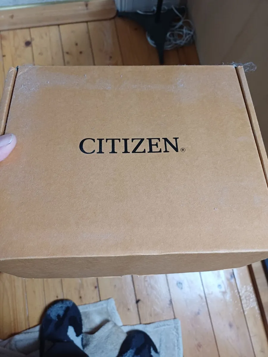 Citizen Promaster Aqualand - Image 4